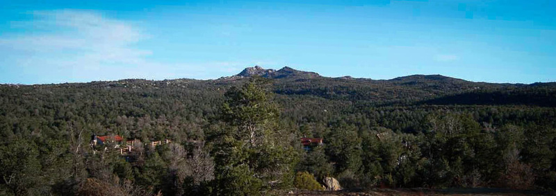 Vista de zona de pinos de Rancho Club Hacienda